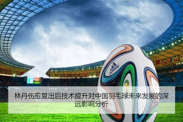 林丹伤愈复出后技术提升对中国羽毛球未来发展的深远影响分析