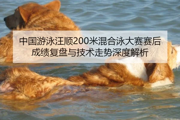 中国游泳汪顺200米混合泳大赛赛后成绩复盘与技术走势深度解析