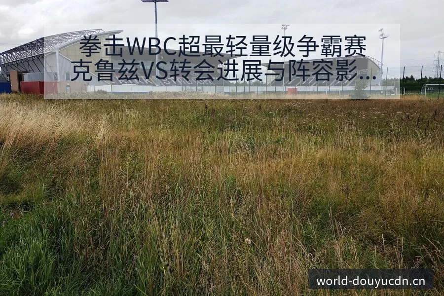 拳击WBC超最轻量级争霸赛克鲁兹VS转会进展与阵容影响深 - 斗鱼